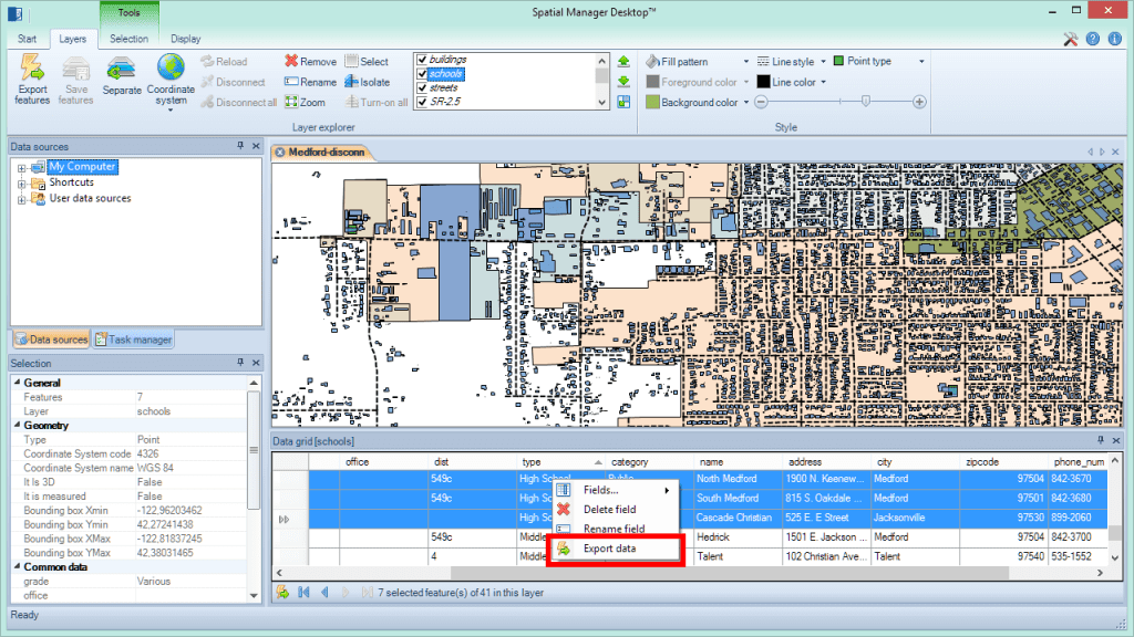 Spatial_Manager_DataGrid1