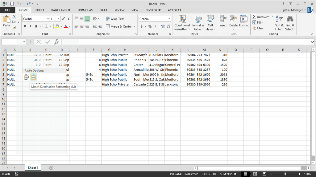 Spatial_Manager_Excel1